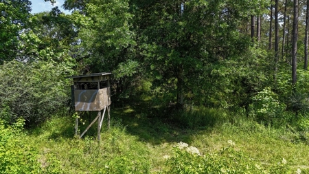 Turnkey Pike County, MS 70 Acres Hunting Property - image 12