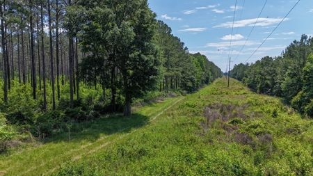 Turnkey Pike County, MS 70 Acres Hunting Property - image 13