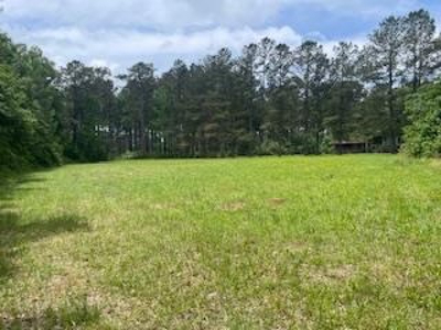 Turnkey Pike County, MS 70 Acres Hunting Property - image 33