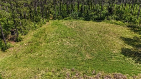 Turnkey Pike County, MS 70 Acres Hunting Property - image 14