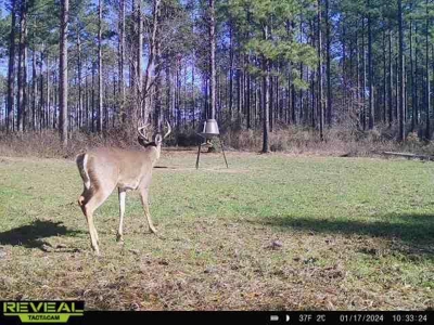 Turnkey Pike County, MS 70 Acres Hunting Property - image 43