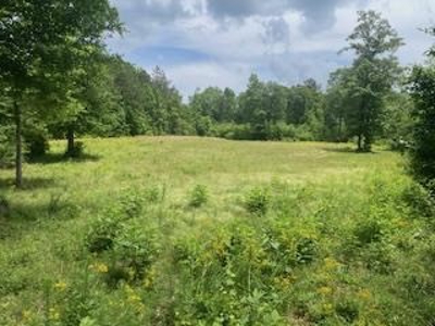 Turnkey Pike County, MS 70 Acres Hunting Property - image 32