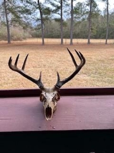 Turnkey Pike County, MS 70 Acres Hunting Property - image 42