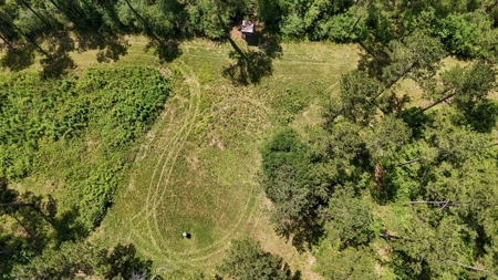 Turnkey Pike County, MS 70 Acres Hunting Property - image 25