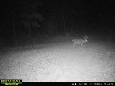 Turnkey Pike County, MS 70 Acres Hunting Property - image 40