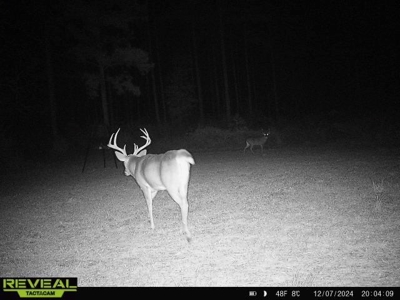 Turnkey Pike County, MS 70 Acres Hunting Property - image 41