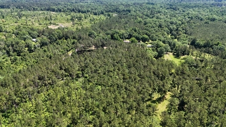 Turnkey Pike County, MS 70 Acres Hunting Property - image 19