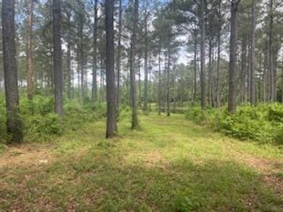 Turnkey Pike County, MS 70 Acres Hunting Property - image 26