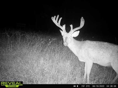 Turnkey Pike County, MS 70 Acres Hunting Property - image 38