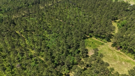 Turnkey Pike County, MS 70 Acres Hunting Property - image 16