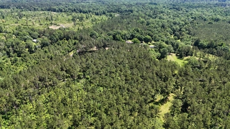 Turnkey Pike County, MS 70 Acres Hunting Property - image 24
