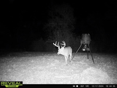 Turnkey Pike County, MS 70 Acres Hunting Property - image 39