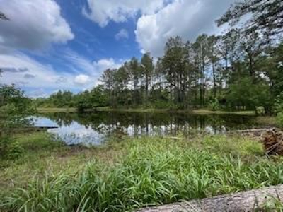 Turnkey Pike County, MS 70 Acres Hunting Property - image 27