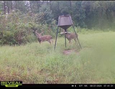 Turnkey Pike County, MS 70 Acres Hunting Property - image 37