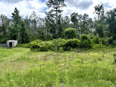 Recreational Lot for Sale in Suwannee County Florida - image 1