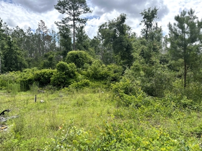Recreational Lot for Sale in Suwannee County Florida - image 5