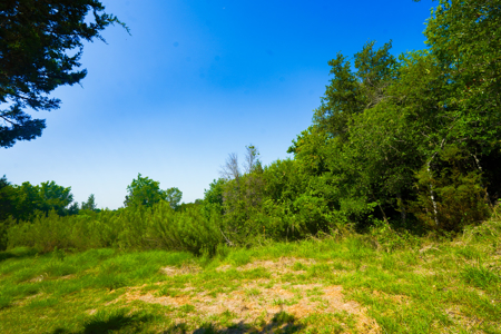 Country Living Early, TX – Acreage with Tanks & Trees - image 16