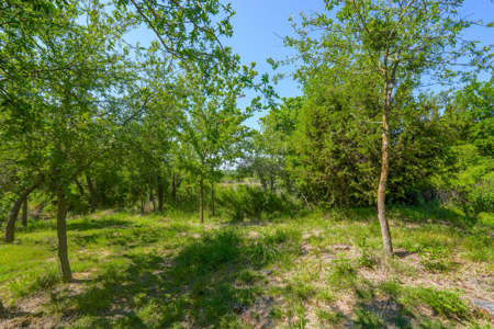 Country Living Early, TX – Acreage with Tanks & Trees - image 17