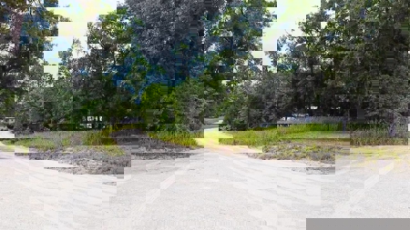 Affordable Vacant Lot For Sale  Trenton, Gilchrist County Florida - image 6