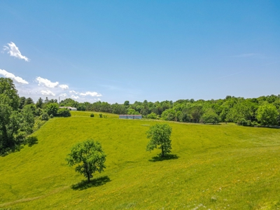 Country Home for Sale in Giles County, Tennessee - image 43