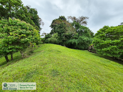 3.11-Acre Waterfront Land for Sale – Isla Solarte, Bocas del Toro - image 12
