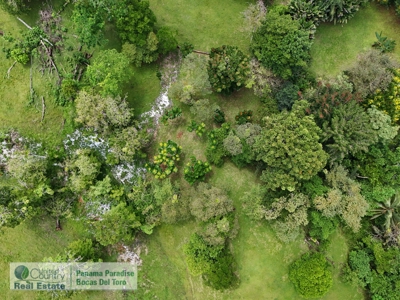 3.11-Acre Waterfront Land for Sale – Isla Solarte, Bocas del Toro - image 3