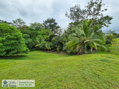 3.11-Acre Waterfront Land for Sale – Isla Solarte, Bocas del Toro - image 11