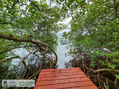 3.11-Acre Waterfront Land for Sale – Isla Solarte, Bocas del Toro - image 17