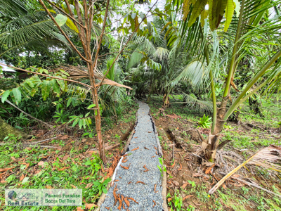 3.11-Acre Waterfront Land for Sale – Isla Solarte, Bocas del Toro - image 13