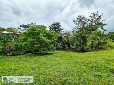 3.11-Acre Waterfront Land for Sale – Isla Solarte, Bocas del Toro - image 10