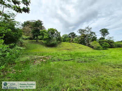 3.11-Acre Waterfront Land for Sale – Isla Solarte, Bocas del Toro - image 5