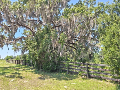 20 Acres--Exceptional Horse Property Near Ocala, Florida - image 16