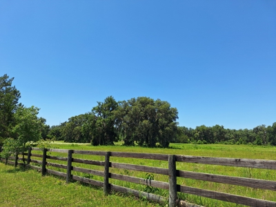 20 Acres--Exceptional Horse Property Near Ocala, Florida - image 10