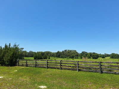 20 Acres--Exceptional Horse Property Near Ocala, Florida - image 5
