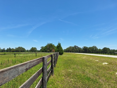 20 Acres--Exceptional Horse Property Near Ocala, Florida - image 7