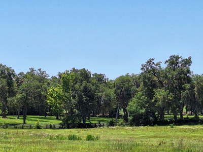 20 Acres--Exceptional Horse Property Near Ocala, Florida - image 30