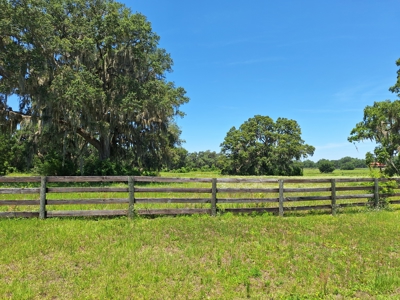 20 Acres--Exceptional Horse Property Near Ocala, Florida - image 1
