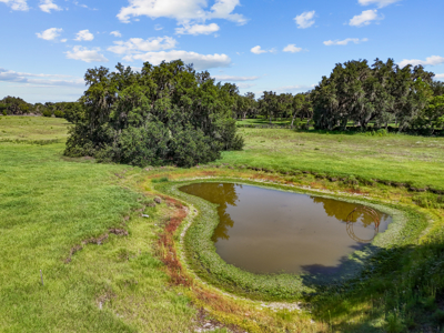 20 Acres--Exceptional Horse Property Near Ocala, Florida - image 37
