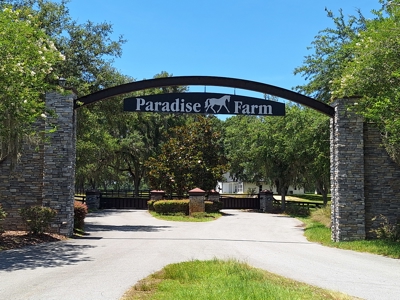 20 Acres--Exceptional Horse Property Near Ocala, Florida - image 32