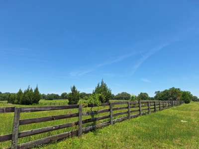 20 Acres--Exceptional Horse Property Near Ocala, Florida - image 11