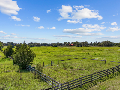 20 Acres--Exceptional Horse Property Near Ocala, Florida - image 35