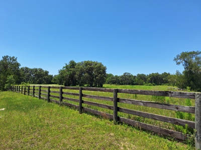 20 Acres--Exceptional Horse Property Near Ocala, Florida - image 9