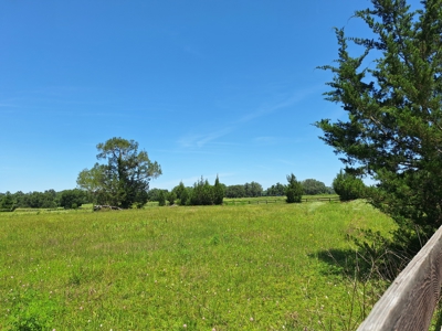 20 Acres--Exceptional Horse Property Near Ocala, Florida - image 13