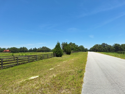 20 Acres--Exceptional Horse Property Near Ocala, Florida - image 27