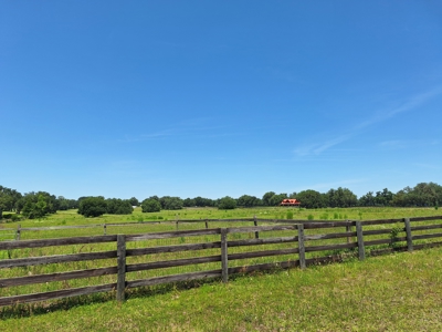 20 Acres--Exceptional Horse Property Near Ocala, Florida - image 6