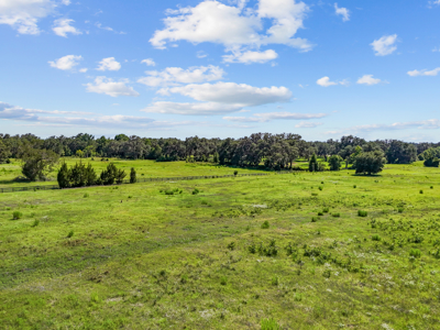 20 Acres--Exceptional Horse Property Near Ocala, Florida - image 36