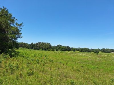 20 Acres--Exceptional Horse Property Near Ocala, Florida - image 4