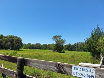 20 Acres--Exceptional Horse Property Near Ocala, Florida - image 8
