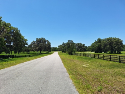 20 Acres--Exceptional Horse Property Near Ocala, Florida - image 28