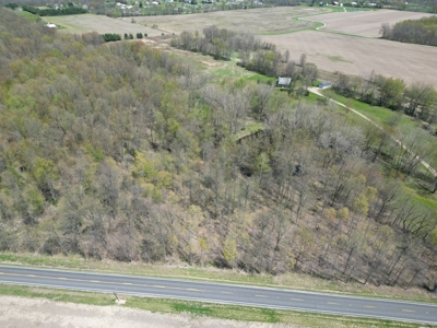 Build-Ready Wooded Lot For Sale in Centerburg, Ohio - image 3